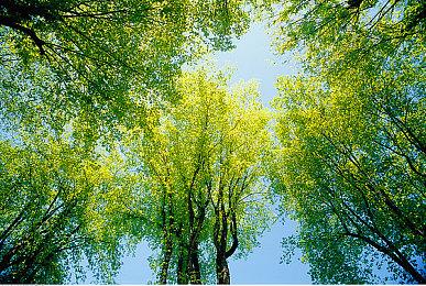 《创世理想乡》大型冬季更新上线 追加火山以及新BOSS等